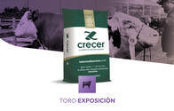 Toro Exposición 14% PB - Crecer