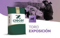 Toro Exposición Crecer 14% PB - Bolsa X 25 Kg.