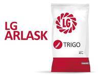 Trigo LG Arlask - Limagrain