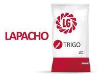 Trigo LG Lapacho - Limagrain