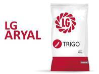 Trigo LG Aryal - Limagrain