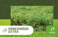 Herbicida Venceweed Extra 2,4 DB - Atanor