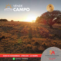 Vende Campo De 2.528 Hectáreas Ganaderas, La Pampa.