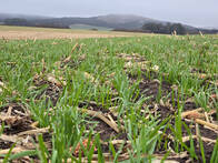 Vendo 700 Ha Agricolas En Tandil