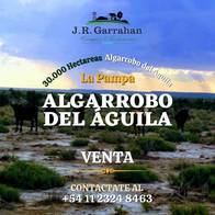 Campo de 30,000 Has - Algarrobo Del Águila - La Pampa