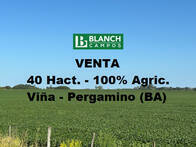 Venta 40 Hact Agricolas - Suelo I - Pergamino