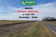 Venta 64 Hact. Agricolas - Arrecifes - Salto