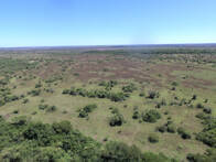 Campo ganadero en venta de 71 hectáreas en San Luis del Palmar