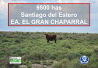 Venta 9500 Has. Santiago Del Estero