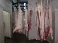 Frigorífico de Cerdos en Venta - San Guillermo, Santa Fe
