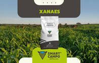 Xanaes Smartcampo