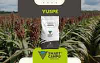 Yuspe Smartcampo