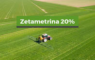 Insecticida  Zetametrina 20%
