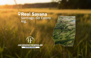1.005. Real Sayana, Stgo. Del Estero