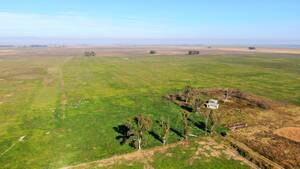 1.800 Has En Las Flores, Bs. As. - Mixto - Venta