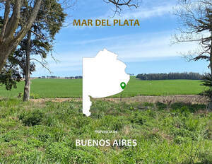 Campo Agrícola 100 Has. Mar Del Plata. . Excelente.