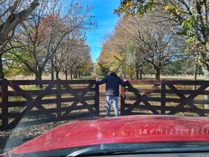 En Venta Campo Mixto 1000 Ha. San Antonio De Areco