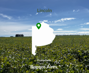 1000 Hectareas Lincoln. Agricola-Ganaderas