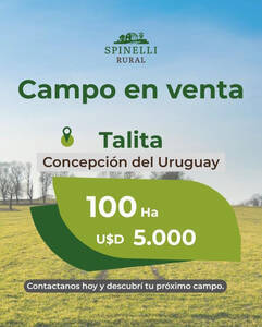 100Ha En Concepcion Del Uruguay