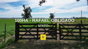 Campo En Venta. 100Ha Rafael Obligado