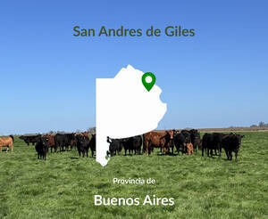 1038 Has Mixtas. San Andres de Giles