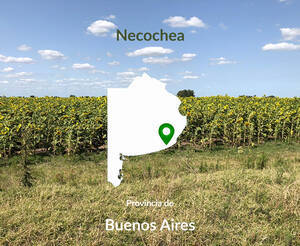 109 Hectáreas Agrícolas. Necochea
