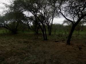 11.260 has en Santiago Del Estero