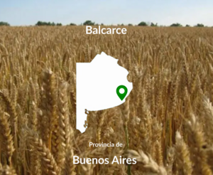 110 Has Balcarce Agrícolas