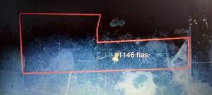 1150 Has Ganaderas, Vera