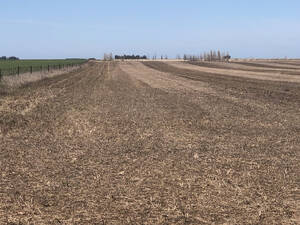Campo Agricola En Venta 118 Hectareas En Tres Arroyos, Buenos Aires