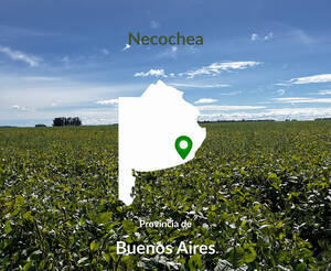 120 Has Agricolas Necochea