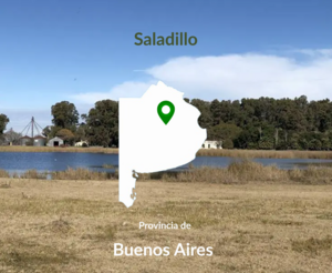1200 Has Estancia Añosa