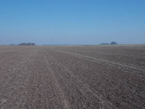 Venta Campo Agrícola121 Hectáreas-San Pedro, Bs As