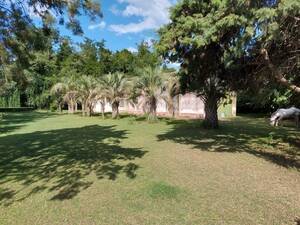 Campo En Venta, 12Has. En Castelli.