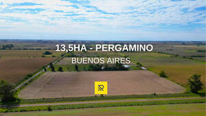 13,5Ha Pergamino