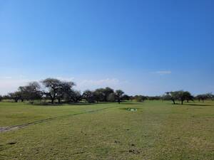 Venta de 131 has. en Felipe Yofre (Corrientes) sobre Ruta Nac. 123