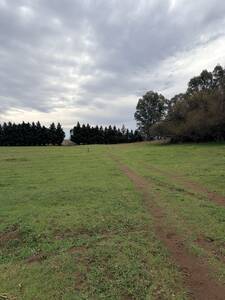 140 ha MASCOTA, VILLARINO