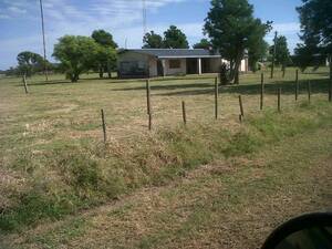 1600 Has Agricolas, Bandera-Tomas Young