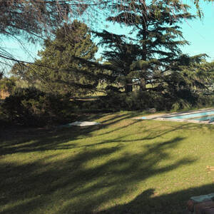 190 Ha Cabildo, Precioso Campo