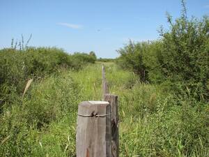 Campo De 2.275 Has En Pozo Hondo, Santiago Del Estero.