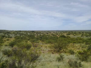 2.500 Has. Algarrobo, Pdo. De Villarino
