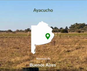 200 Has Ayacucho Venta.