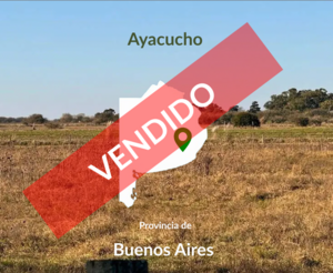 200 Has Campo Ayacucho. Venta