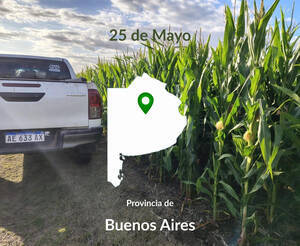 200 hectáreas. 25 de Mayo. Agrícolas. 