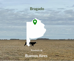 200 Hectáreas Bragado. Agrícolas Buenas