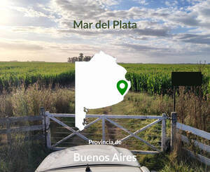 200 hectáreas Mar del Plata. Agrícolas 