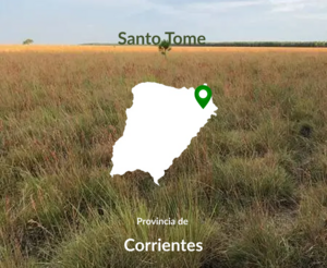 2000 Has Ganaderas Santo Tome ,corrientes. Oportunidad