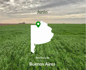 210 Has Junin. Agrícola