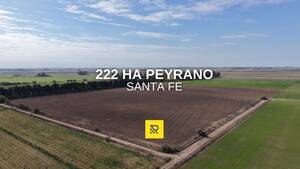222Ha Peyrano