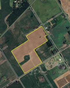 25 hectareas agrícolas - 9 de julio - Provincia de Buenos Aires